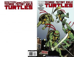 THE TURTLES TAKE ROCHESTER - TMNT #33 (Limited Print Run)