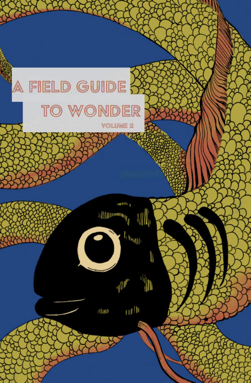 Field Guide to Wonder #2